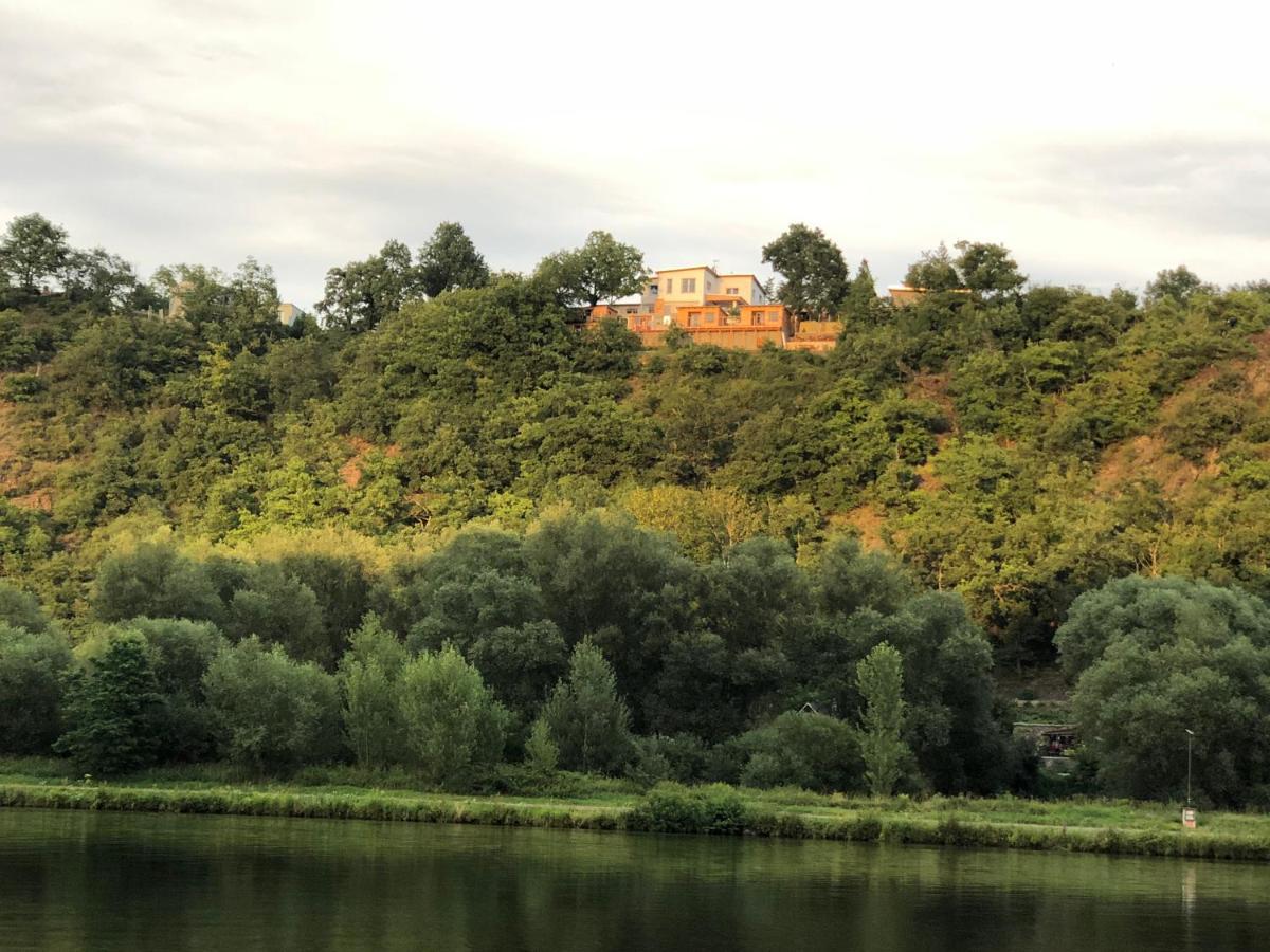 Apartman - E - Vyhlidka Nad Rekou Zdiby Exteriér fotografie